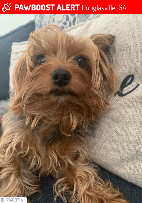 Lost Male Dog last seen Fairburn Rd & Hwy 92/166, Douglasville, GA 30135