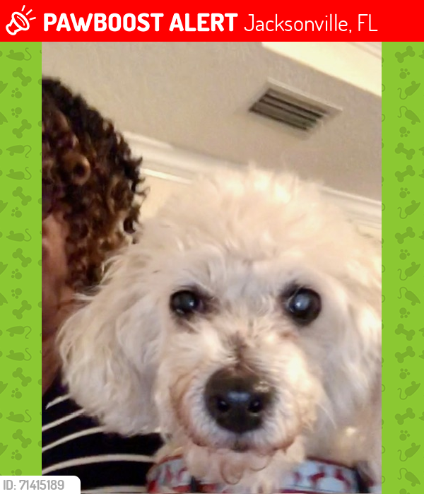 Lost Male Dog last seen River run Hidden Lake ests, Jacksonville, FL 32218