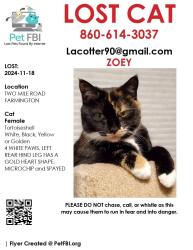 Lost Female Cat last seen Lakeview Drive and Two Mile Road , Farmington, CT 06032