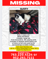 Lost Male Cat last seen St Francis Blvd/Alpine Dr, Ramsey, MN 55303