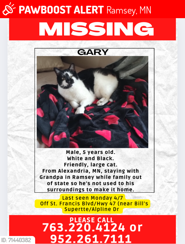 Lost Male Cat last seen St Francis Blvd/Alpine Dr, Ramsey, MN 55303