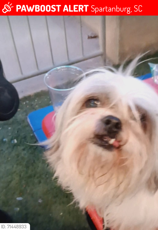 Lost Male Dog last seen Cleveland Park, Spartanburg, SC, Spartanburg, SC 29303