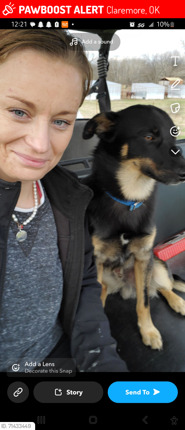 Lost Male Dog last seen Old 88 near verdigris river claremore oologah , Claremore, OK 74019