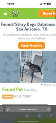 Lost Male Dog last seen On vollum between summit ave and Mongolia , San Antonio, TX 78201