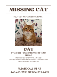 Lost Female Cat last seen N 37th St & W Margaret Pl, Rogers, AR 72756