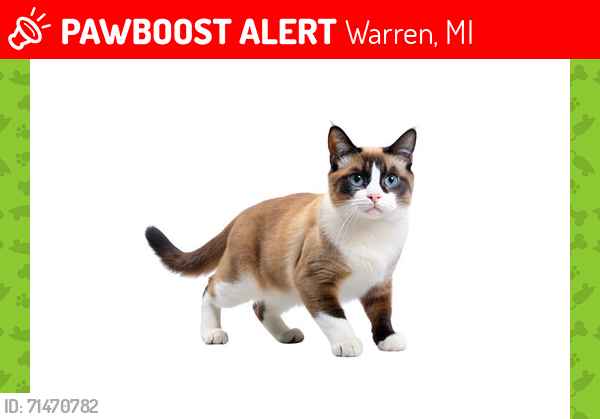 Lost Male Cat last seen sherman and marie avenue, warren, Warren, MI 48089