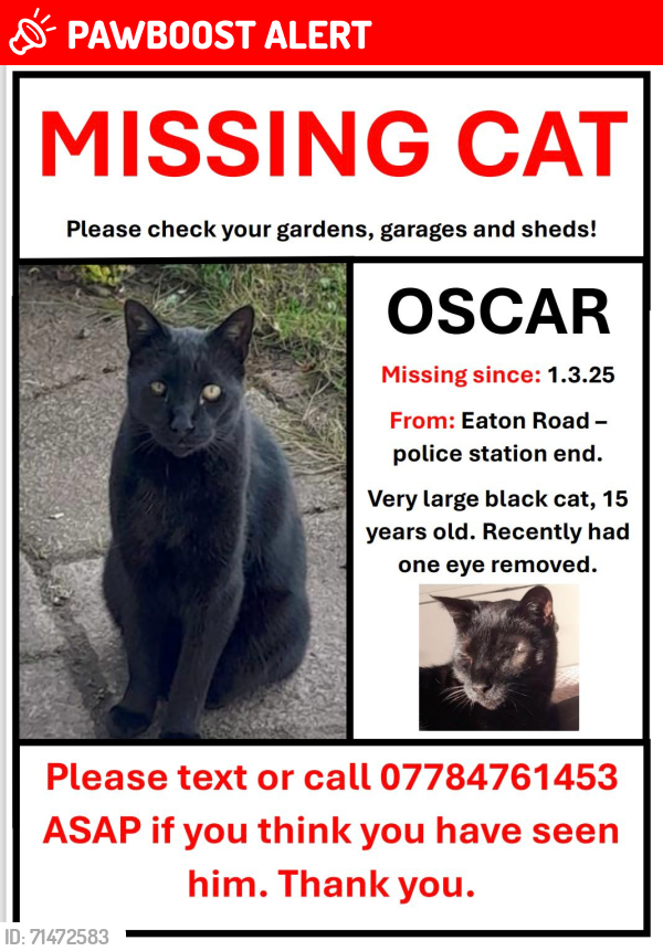 Lost Male Cat last seen Meadowcroft Park, Liverpool 12, Merseyside, England L12 3HU