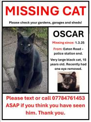Lost Male Cat last seen Meadowcroft Park, Liverpool 12, Merseyside, England L12 3HU
