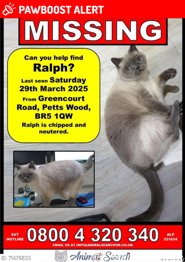 Lost Male Cat last seen Petts wood Road, St.Francis of Assisi Church , Petts Wood, England BR5