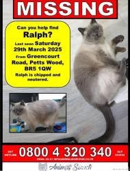 Lost Male Cat last seen Petts wood Road, St.Francis of Assisi Church , Petts Wood, England BR5