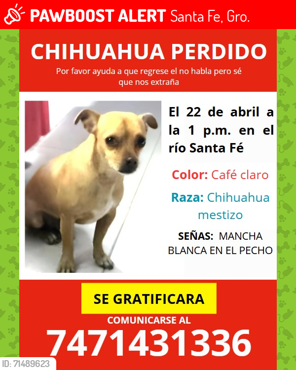 Lost Male Dog last seen Río Santa Fe, Santa Fe, Gro. 39253