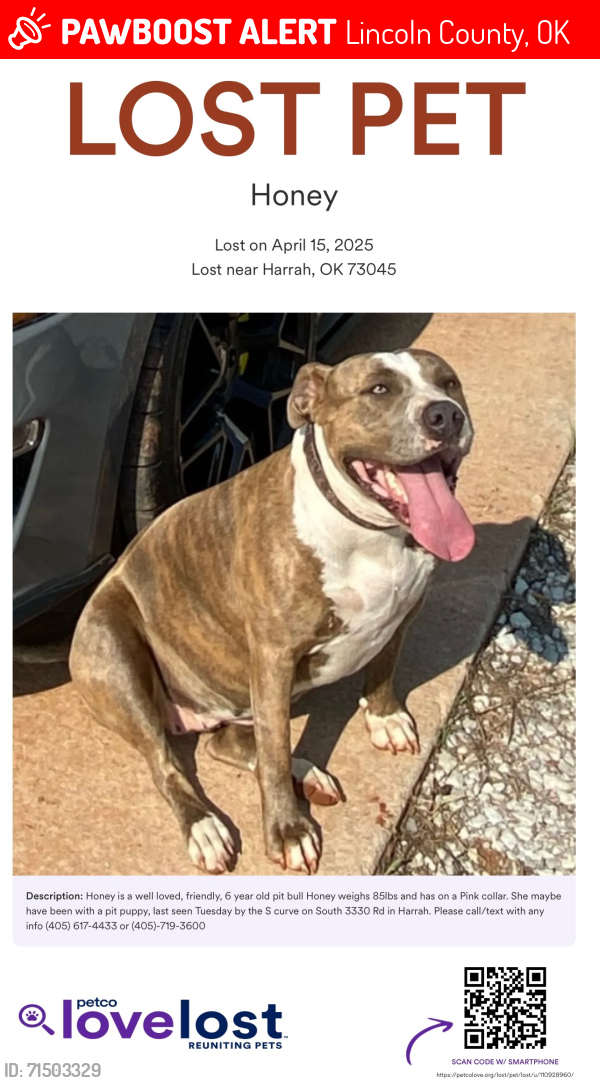 Lost Female Dog last seen S 3330 rd and 1020 rd, Lincoln County, OK 73045