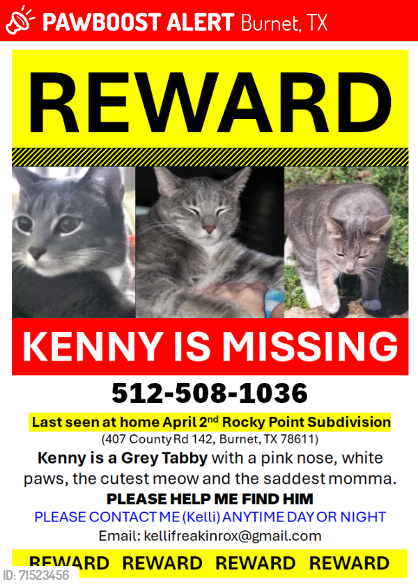 Lost Male Cat last seen Rocky Point Subdivision, Burnet, TX 78611