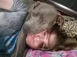 Lost Male Dog last seen Dollar general, Funston, GA 31768