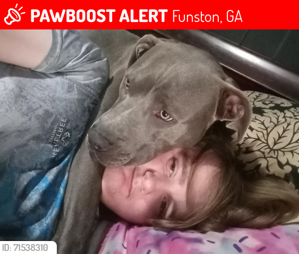 Lost Male Dog last seen Dollar general, Funston, GA 31768