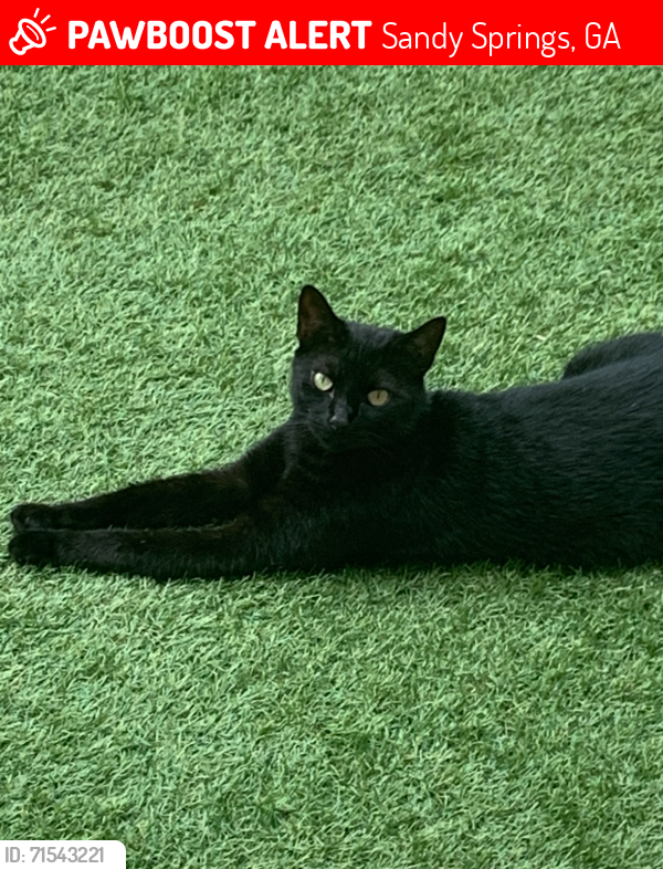 Lost Male Cat last seen Nesbit Ferry Rd/ Spalding , Sandy Springs, GA 30350