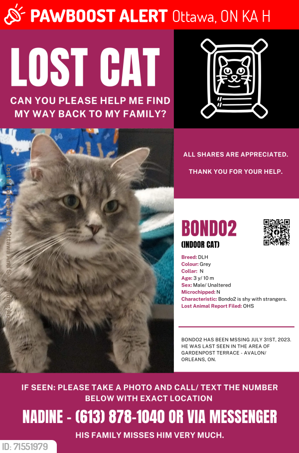 Lost Male Cat last seen Deceour & Merblue , Ottawa, ON K4A 5H2