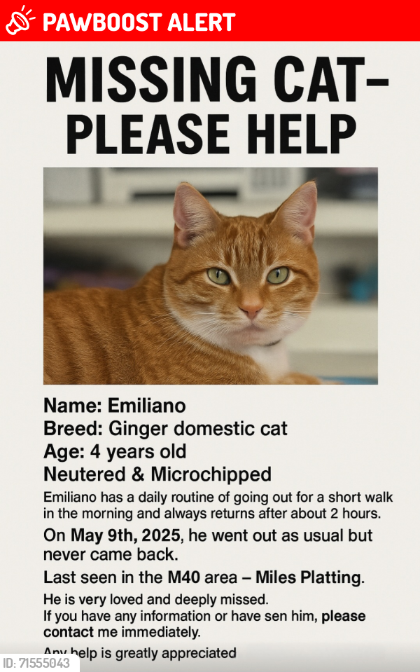 Lost Male Cat last seen M40 7HY, Greater Manchester, England M40