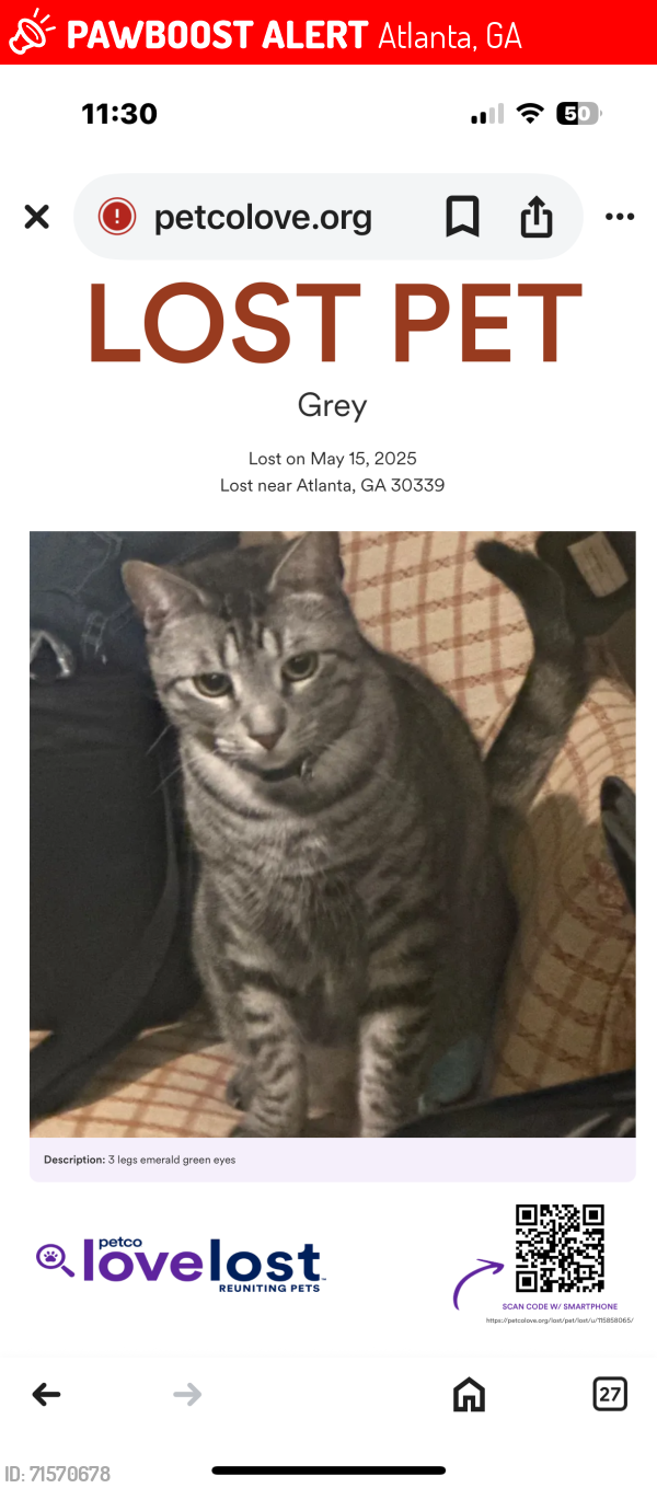 Lost Male Cat last seen Near Maner Terrace se Atlanta ga 30339, Atlanta, GA 30339