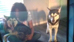 Lost Female Dog last seen Sherwood, AR, Sherwood, AR 72120
