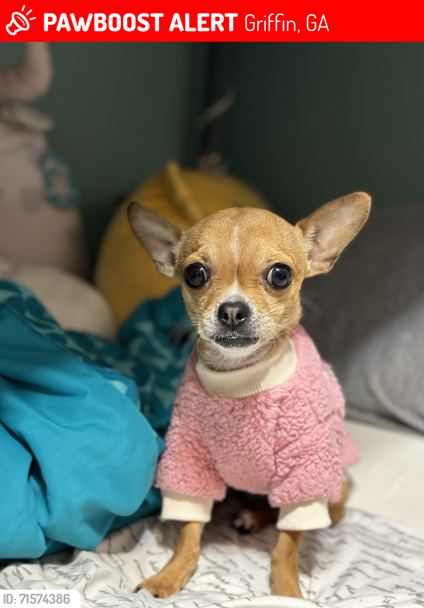 Lost Female Dog last seen Landing Way and West Ellis Rd, Griffin, GA 30223
