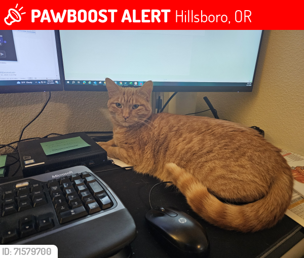 Lost Female Cat last seen Near se rosewood street, Hillsboro, OR 97123