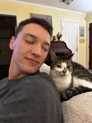 Lost Female Cat last seen Near Mason Smith Ave. Metairie LA 70003, Metairie, LA 70003
