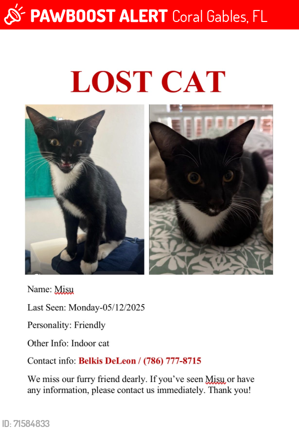 Lost Male Cat last seen Near ave SW 40 ST Miami FL 33185, Coral Gables, FL 33134