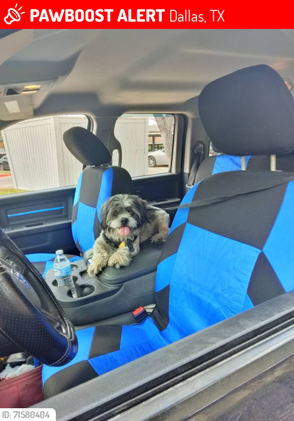 Lost Male Dog last seen Country Creek Dr/Ledbetter Drive , Dallas, TX 75236