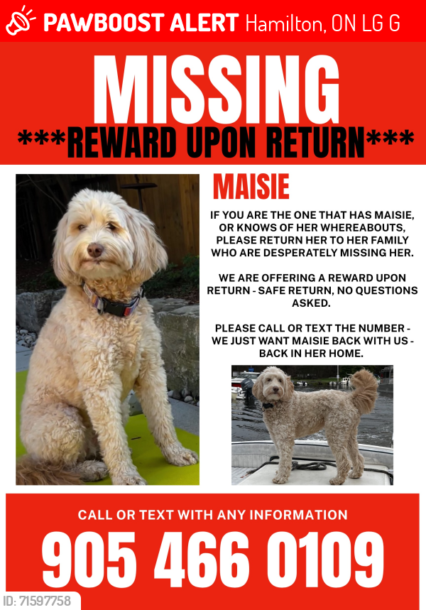 Lost Female Dog last seen Golf Links Rd and Chancery Dr, Ancaster, ON, Hamilton, ON L9G 4G6