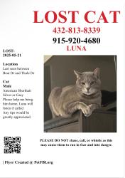 Lost Male Cat last seen Bear Dr and Thule , Midland, TX 79707