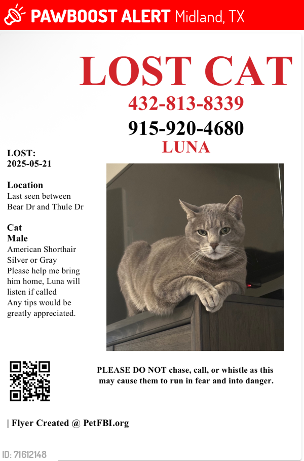 Lost Male Cat last seen Bear Dr and Thule , Midland, TX 79707