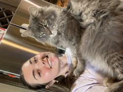 Lost Male Cat last seen Widener Strip, King Richards Row, Greenhill Terrace neighborhood., Midland, TX 79707