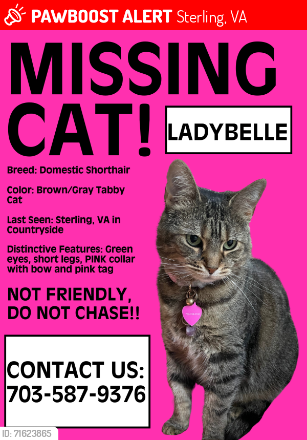 Lost Female Cat last seen Near Dunbar Way Sterling, VA 20165, Sterling, VA 20165