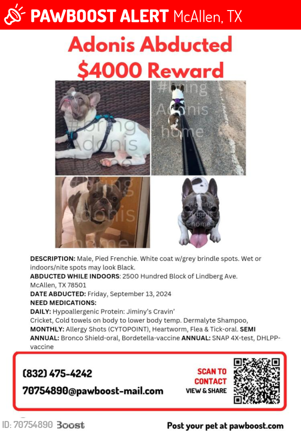 Lost Male Dog last seen Indoors on the 2500 Block of Lindberg Ave.Tx 78501, McAllen, TX 78503