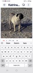 Lost Unknown Dog last seen Near , Conroe, TX 77301