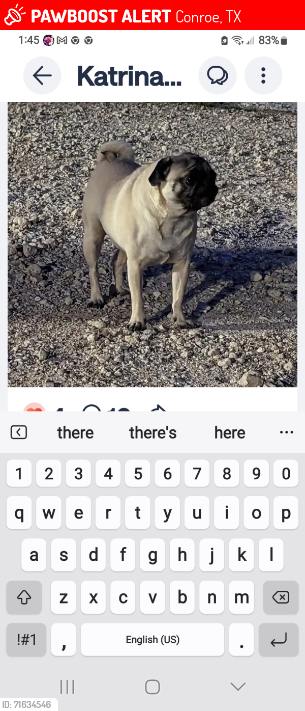 Lost Unknown Dog last seen Near , Conroe, TX 77301