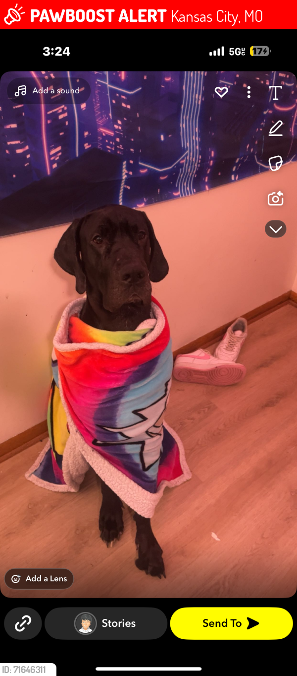 Lost Male Dog last seen Lake wakoumus , Kansas City, MO 64151