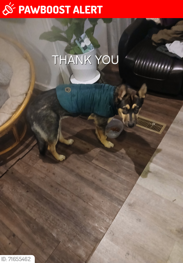 Lost Male Dog last seen Shorts School rd., Snohomish river, Snohomish County, WA 98290