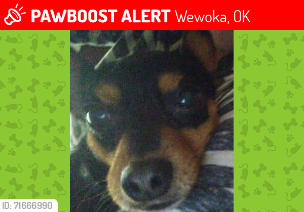 Lost Male Dog last seen On 6th St by Brown, Wewoka, OK 74884