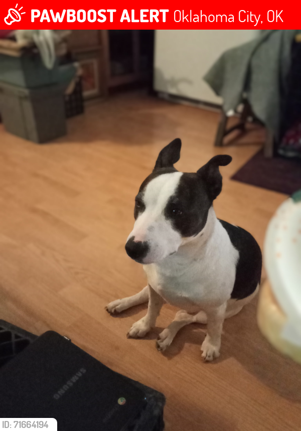 Lost Male Dog last seen Southside lake overholser/county line road , Oklahoma City, OK 73127
