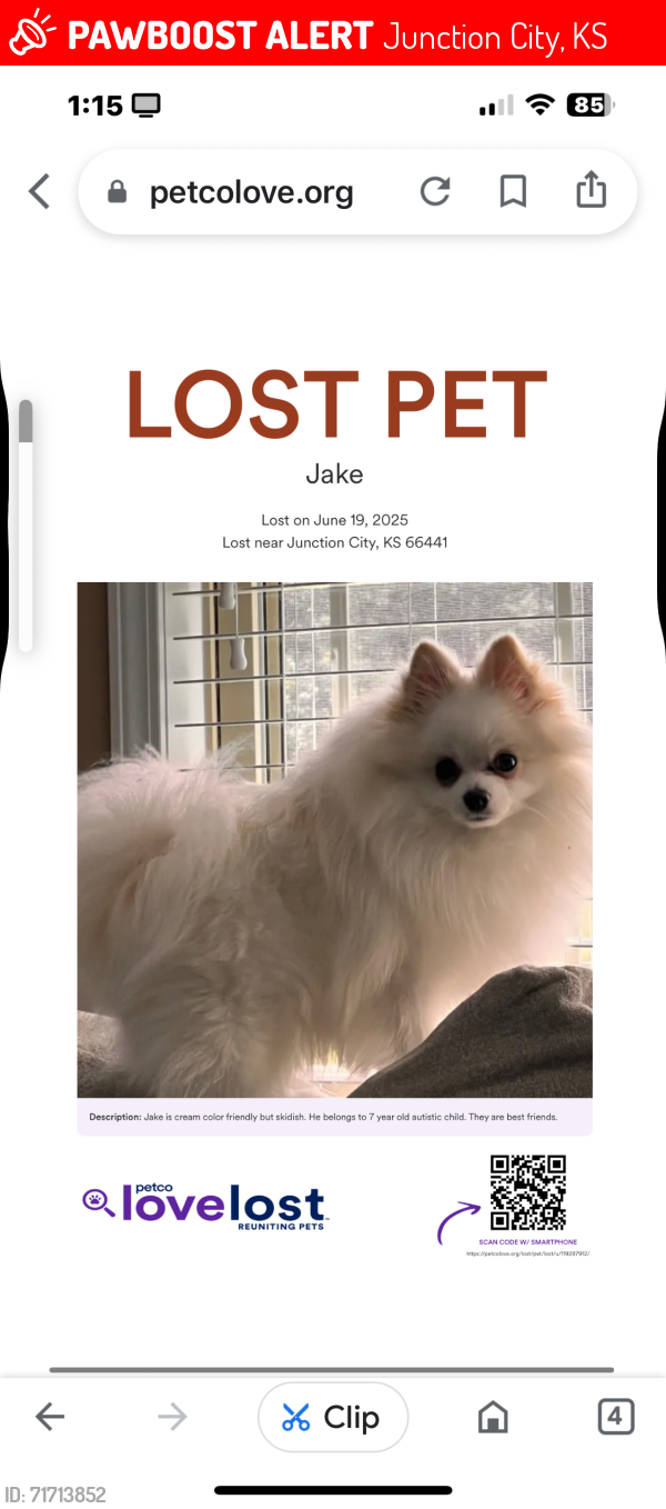 Lost Male Dog last seen Near oakwood, Junction City, KS 66441