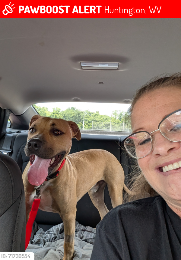 Lost Male Dog last seen Near James River Rd Huntington WV 25701, Huntington, WV 25701