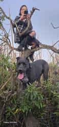 Lost Male Dog last seen Loretta and 76, Oceanside, CA 92057