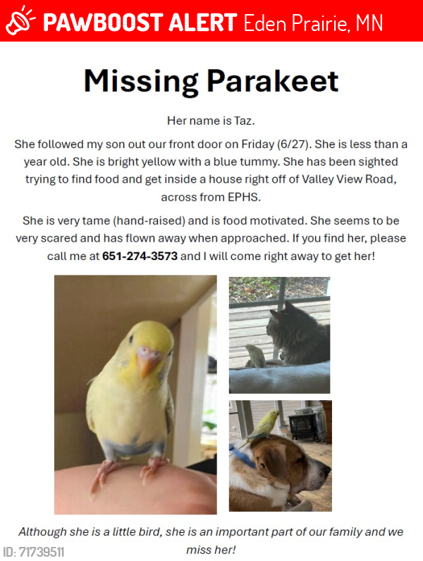 Lost Female Bird last seen Was seen on Vally View road and Olympic BLvd on 6/28, Eden Prairie, MN 55344