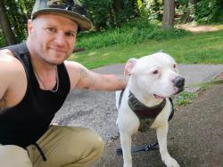 Lost Male Dog last seen McDonald's and Wendy's Fastfood, Portland, OR 97207