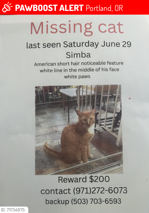 Lost Male Cat last seen SE suncrest Dr oregon , Portland, OR 97086