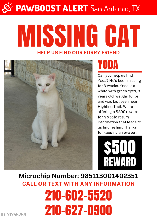 Lost Male Cat last seen Waterhole Ln & Highline Trl, San Antonio, TX 78261