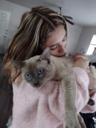 Lost Male Cat last seen Near San Eugenio Rd, Mission, TX 78572, Mission, TX 78572