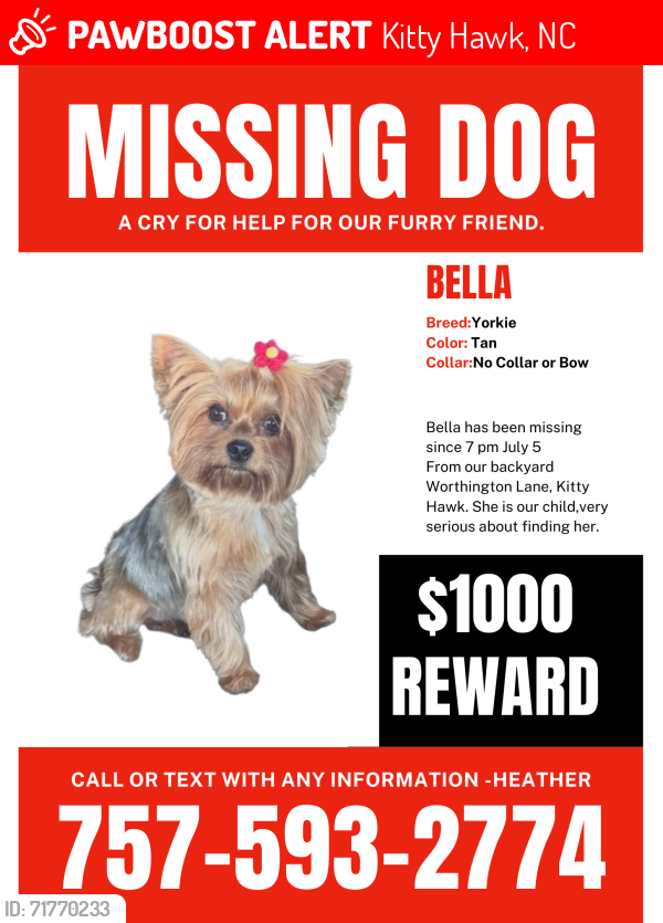 Lost Female Dog last seen Shady Lane, Kitty Hawk, NC 27949